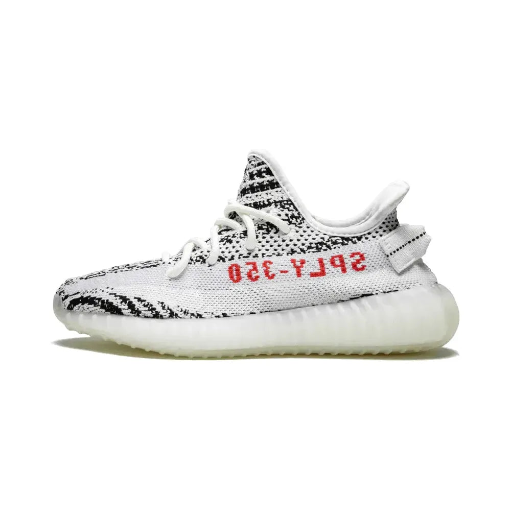 ZEBRA1.webp